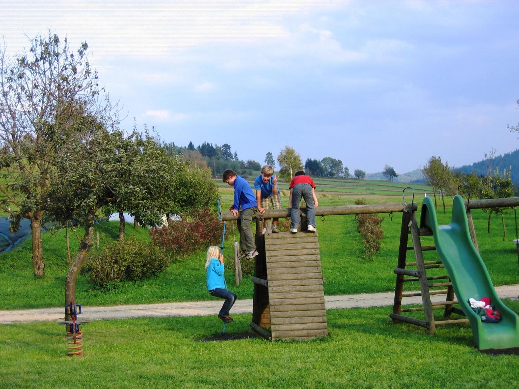 Ferienhof Stanzl Rappottenstein Экстерьер фото