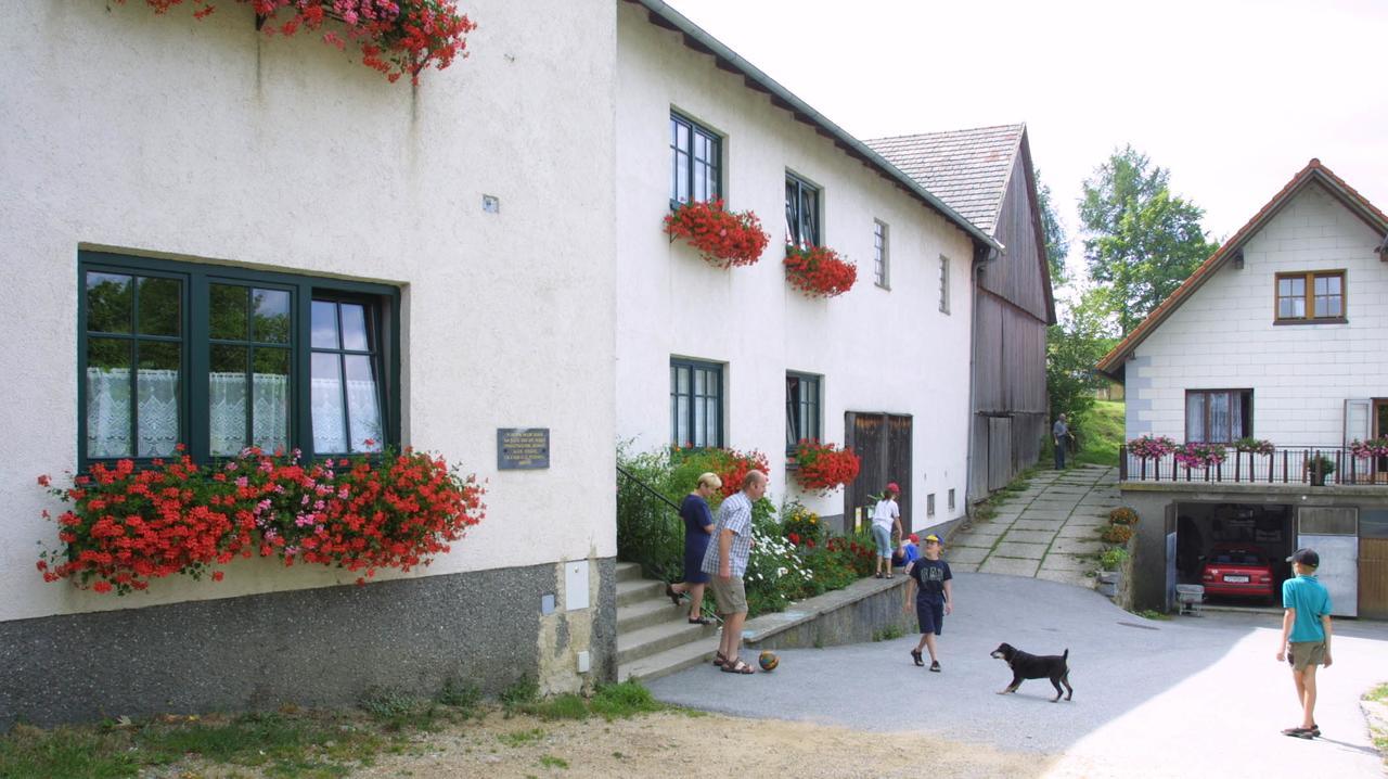 Ferienhof Stanzl Rappottenstein Экстерьер фото