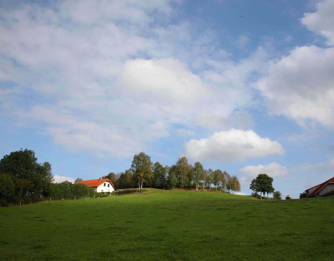 Ferienhof Stanzl Rappottenstein Экстерьер фото